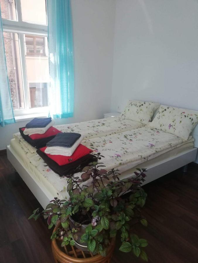 Hostel Staromiejski Grudziadz